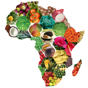 Consequências nesfastas das barreiras ao comércio em&nbsp;África